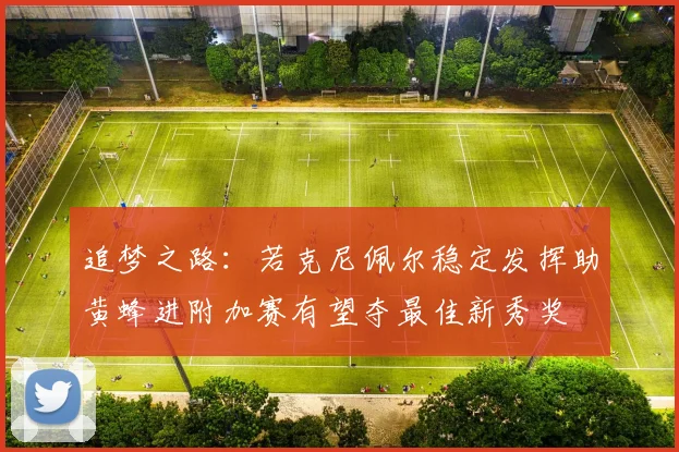 追梦之路：若克尼佩尔稳定发挥助黄蜂进附加赛有望夺最佳新秀奖