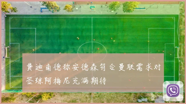 费迪南德称安德森符合曼联需求对签琼阿梅尼充满期待